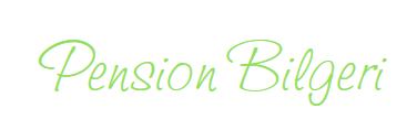 Logo Pension Bilgeri